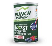 Boisson énergétique courte durée Punch Power Vert 500 g