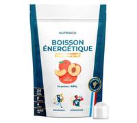 NUTRI & CO Boisson Énergétique Isotonique en Poudre - Ratio 2:1 Glucose/Fructose avec BCAA, Électrolytes, Postbiotiques & Gingembre - Running, Vélo, Hyrox - 490g goût pêche - Fabriqué en France
