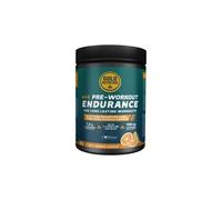 Boisson pre workout goldnutrition endurance orange 300g