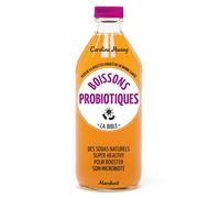 Boissons probiotiques - La bible: Plus de 65 recettes pour être en bonne santé