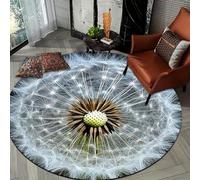 boiszeda Tapis Trompe L’Oeil 3D Velours Cristal Tapis De Salon Doux Confortable Antidérapant pour Salon Moderne Chambre Cosy Et Espaces De Vie Stylés chez Vous
