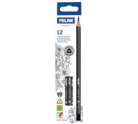Boîte 12 Crayons Graphite 6b Triangulaires