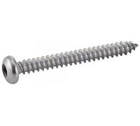 Acton Vis tôle inox A2 624164.8X70 Tête cylindrique empreinte carrée 4,8×70 mm Boîte 200