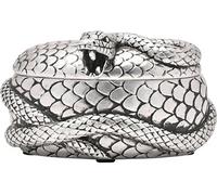 Generique Boîte à bijoux Nagini Harry Potter Argenté multicolore