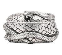 Generique Boîte à bijoux Nagini Harry Potter Argenté multicolore