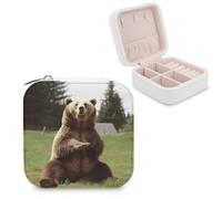 Boîte à bijoux Hi Bear Sit on The Lawn pour femmes, organiseur de bijoux portable en cuir PU, petite boîte de rangement pour colliers, boucles d'oreilles et bagues