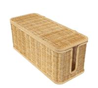 Boîte à câble Cache-Protecteur avec 2 Fentes