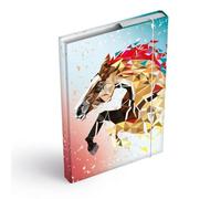 Boîte à classeurs pour cartable - Classeur A4 ou A5 pour enfants avec élastique et rabats intérieurs - Chemise de collection avec élastique pour filles et garçons (cheval, A5)