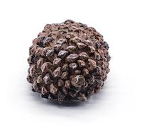 Boîte à Clés en Forme de Pommes de Pin Pour l'Extérieur - Cache-Clé Secret Aspect Pierre Véritable Pour Rangement d'Extérieur