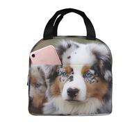 Boîte à déjeuner isotherme pour homme et femme, motif berger australien, sac fourre-tout réutilisable pour le travail et le bureau
