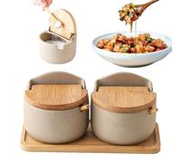 Boîte à épices en céramique - Top/cuillère en bois à double assaisonnement, rangement décoratif | Boîte à sucre salé pour étagère de cuisine, salle à manger, fête extérieure, pique-nique ou barbecu