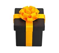 Boîte À Farce,Jouet Compact Pour Blague De Vis Imbriquées,Boîte à Blagues Humoristique - Pour Ami Famille Fête De Bureau Anniversaire Mariage Noël Vacances Usage