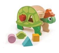 Boîte à formes tortue