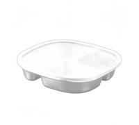 Boîte à lunch en acier inoxydable à 4 compartiments divisés en plastique et acier inoxydable adaptée pour l'extérieur et la cuisine passe au lave-vaisselle. Cette boîte à déjeuner est légère (4