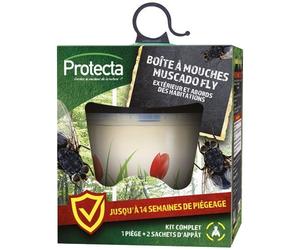 Boîte à mouches écologique avec 3 appâts