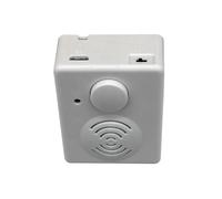 Boîte à Musique Enregistrable USB pour Animaux en Peluche, Programmable à un Bouton avec Lecteur MP3 Intégré