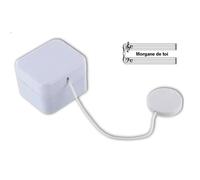 Boîte à musique - Renaud - Morgane de toi - Mécanisme lavable - 4,6x5,5x3,9 cm - Mixte