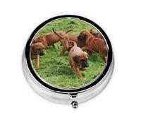 Boîte à pilules à 3 compartiments, organiseur portable pour chiens et chiots de Rhodesian Ridgeback