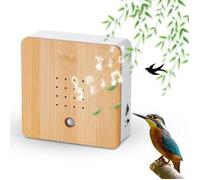 Boîte À Sons Naturels pour Chants d'oiseaux, Boîte à Détecteur de Mouvement avec Trou de Suspension à l'arrière,