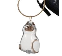 Boîte À Souvenirs Pour Animal De Compagnie Contenants Petits Transparents