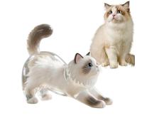 Boîte à Souvenirs pour Animaux de Compagnie | Porte-clés en Poil de Chien,Chaîne de Clés avec Pendentif Transparent en Acrylique Commémoratif pour Collection, Accessoire pour Sac à Main, Sac