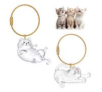 Boîte à Souvenirs pour Poils d'animaux de Compagnie, Porte Clef Chat, Porte hat, Porte-Clés Souvenir de Poils d'animaux de Compagnie pour Amoureux des Animaux Souvenir Chien Chat Décédé