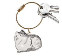 Boîte à souvenirs transparente pour animaux de compagnie, stockage de poils de chat, fournitures pour la perte, les condoléances, la maison, la famille, les amis, la voiture, les voyages et