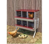 Boîte à œufs galvanisée sur pied, 6 cases, avec perchoir, antirouille et œufs factices. Parfait pour poulailler extérieur-Rouge