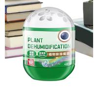 Boîte absorbeur d'humidité, récipient déshumidificateur de placard, 500 ml, extracteur d'humidité compact, extrait de, éliminateur d'odeurs naturelles, dispositif de contrôle de l'humidité