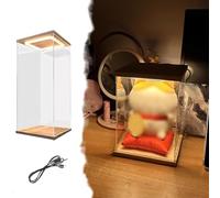Boite Acrylique Boîte d’Exposition en Acrylique Transparente avec Éclairage LED - Contrôle par USB, Porte à Ouverture Frontale pour un Accès Facile aux Objets de Collection(10x15xH30cm/4x6x12")