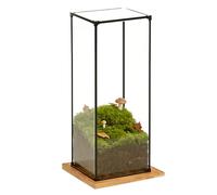 Boite Acrylique Boîte Haute et Étroite En Acrylique Transparent avec Cadre en Alliage Noir, Boîtiers de Protection Organisés Sécurisés pour Exposer les Passe-temps(15x15xH30cm/6x6x12")