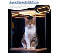 Boite Acrylique Boîte Longue en Acrylique Anti-Poussière, Grande Vitrine Transparente Éclairée pour Bijoux Parfum et Figurines, 10 20 30 40 50 60 70 80 90 100 cm Cubes Stand(35x25x35 cm/14x10x14 in)