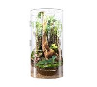 Boîte acrylique pour terrarium araignées, habitat transparent pour mantis de prière, reptiles et insectes, boîtier hermétique avec ouverture frontale pour tarentres ou grenouilles en intérieur