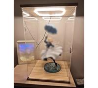 Boite Acrylique Présentoir en Acrylique Étanche à la Poussière avec Bande LED Intégrée Lumière Chaude, Vitrine pour Casque et Palet de Hockey pour Maison Bureau(10x15xH15cm/4x6x6")