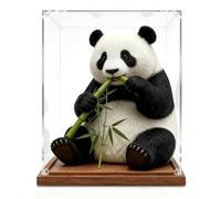 Boite Acrylique Protecteurs de Vitrine Étroits et Hauts, Couvercles en Acrylique Empilables avec Socle en Bois, Vitrine Transparente pour Bijoux et Figurines d’Action(10x15xH30cm/4x6x12")