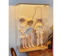 Boite Acrylique Support de Vitrine en Acrylique Haut et Étroit, Bacs Rangement avec Éclairage sur Socle Bois, Couvercle Anti-Poussière pour Figurines Collections(15x15xH30cm/6x6x12")