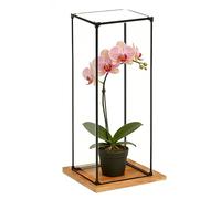 Boite Acrylique Vitrine Extra Haute et Étroite en Acrylique pour Trophées, Boîtes Transparentes pour Exposer Voitures Miniatures, Cristaux Objets de Collection(15x15xH30cm/6x6x12")