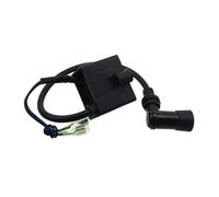 Boîte Allumage CDI Bobine d'allumage CDI pour moteur 2 temps, vélo motorisé, moto Pour 50cc 60cc 66cc 80cc