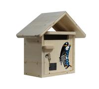Boite aux lettres bois creastuce : papillon courte