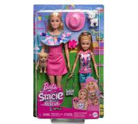 Boîte Barbie Et Stacie - Barbie - Hrm09