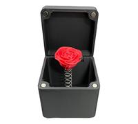 Boîte cadeau surprise en forme de cœur avec rose pour femme, amie, Saint-Valentin, Noël
