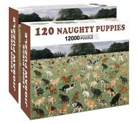 Boîte cadeau vide sur le thème des chiots coquins, enveloppez votre vrai cadeau dans une fausse boîte cadeau convaincante et amusante, cadeau hilarant éléphant blanc pour golfeur, mari, papa, frère et