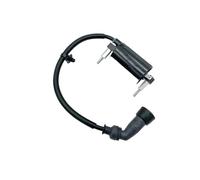 Boîte CDI Module d'allumage Pack De Bobines D'allumage Moto G & R Spark Cap pour GW250 GW250S GW250F GW 250cc Pièces Rechange Module Box Ignitor CDI