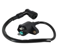 Boîte CDI pour Adly ATV 150 pour Sport pour Utilitaire pour Carrefour pour Boost pour Elle Chee GK 125 Moto CDI Boîte Allumeur Bobine D'allumage