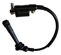 Boîte CDI pour BN251 BN250 TNT25 TNT250 BJ250 TRK251 pour Leoncino 250 Moto CDI Boîte Allumeur Bobine D'allumage(TRK251)