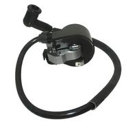 Boîte CDI pour Souffleur pour BR320 BR340 BR380 BR400 BR420 Moto CDI Boîte Allumeur Bobines D'allumage Bobine 4203-400-1301
