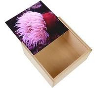 Boite Coffret en Bois - Fabulous - Anemone de Mer Rouge et Rose (11 x 11 x 3,5 cm) Rouge G