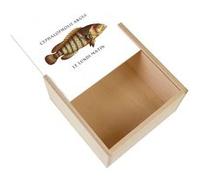 Boite Coffret en Bois - Fabulous - Cephalopholis Argus le lundi matin (11 x 11 x 3,5 cm) Multicolore G