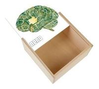 Boite Coffret en Bois - Fabulous - Cerveau en Circuit imprimé Nerd (11 x 11 x 3,5 cm) Multicolore G