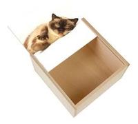 Boite Coffret en Bois - Fabulous - Chaton Siamois Poil Long Endormis (11 x 11 x 3,5 cm) Multicolore G